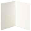 Papyrus Blank Pet Sympathy Card (Paw Prints on Our Hearts)