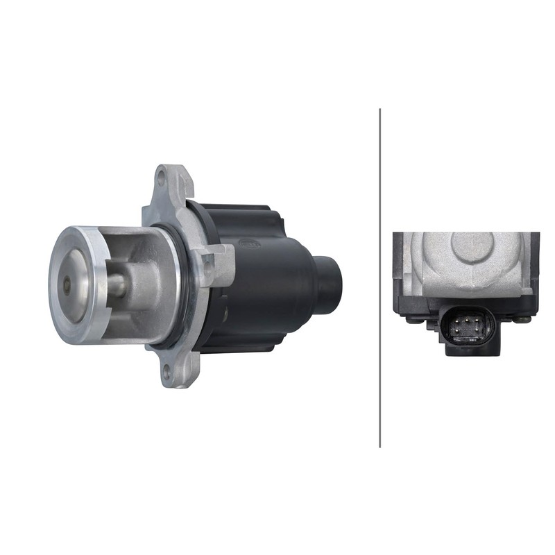 HELLA 6NU 014 864-631 EGR Valve 12 V Electric 5-Pin