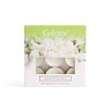 Wax Lyrical, Colony Jasmine & Oud Tealights, White