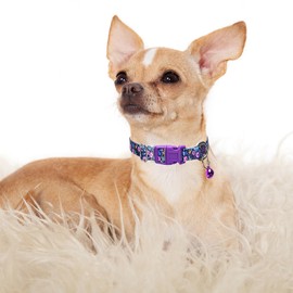 Purple Floral Small Dog Collar with Bell, Pretty Cute Flower Cat Collar Girl Puppy Collars with Bells for XS Small Tiny Pet Female Dogs Kitten Little Animal, S