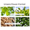 BIOLOA Makaala - Mental Energy & Focus - With Vitamin