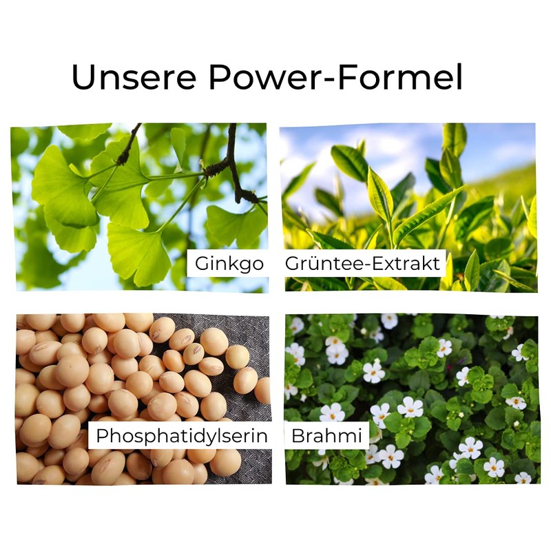BIOLOA Makaala - Mental Energy & Focus - With Vitamin