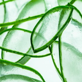 알로에 페이셜 클렌징 폼 Aloe Facial Cleansing Foam