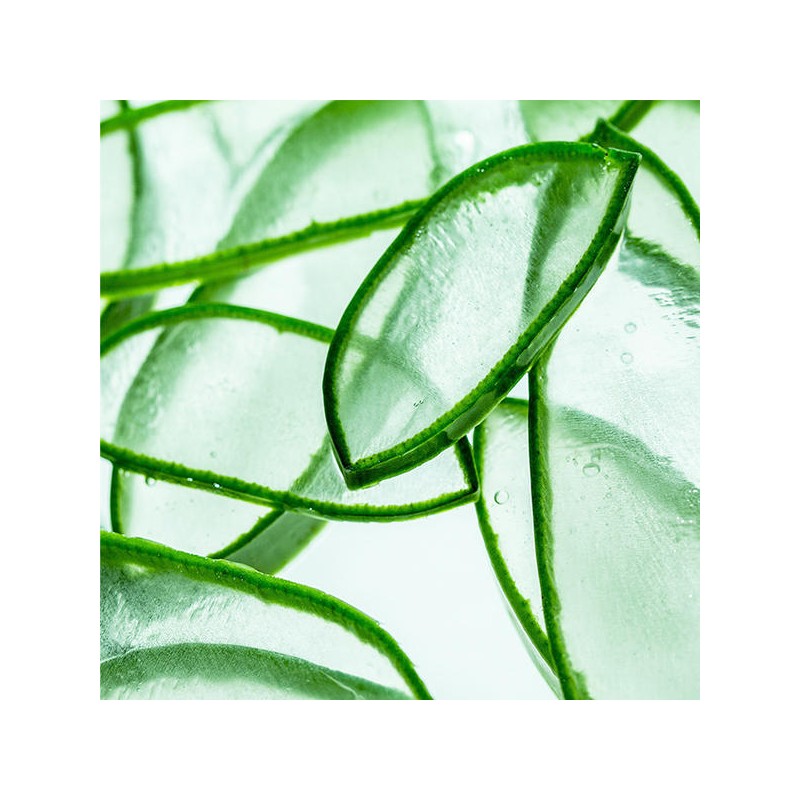 알로에 페이셜 클렌징 폼 Aloe Facial Cleansing Foam