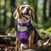 Joytale Reflective Dog Collar,Soft Neoprene Padded Breathable Nylon Pet Collar