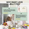 Moller’s ® | Omega 3 Jellies for Children | Strawberry