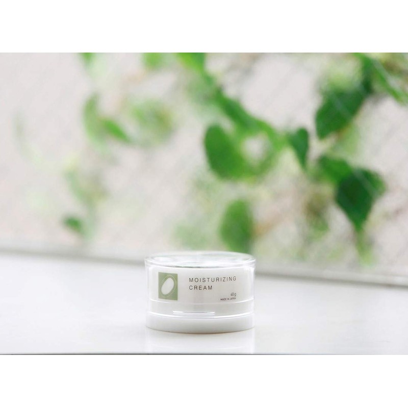 Silk Life Laboratory, Beauty Cream 1.4 oz (40 g) Natural