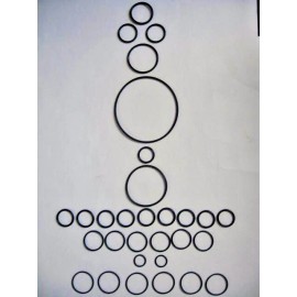 R&S, Annovi Reverberi, HYPRO Annovi Reverberi AR2389 O Ring Kit / R&S 14-88.57AR