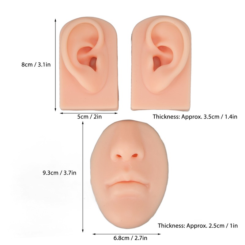 3D Nose and Mouth Model Silicone Ear Model Simulation Display
