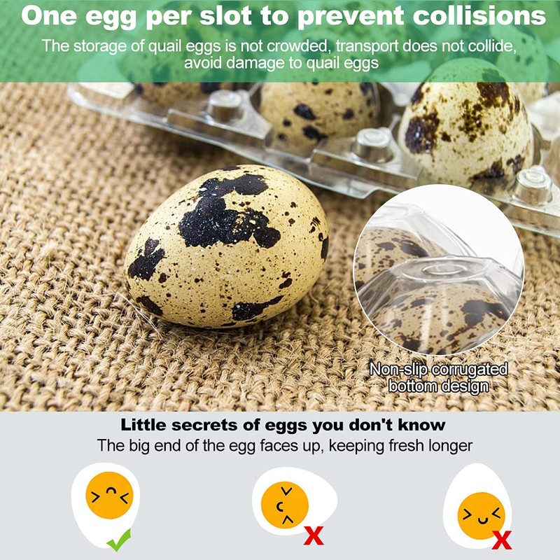 FIGFYOU Pack of 50 Quail Egg Boxes, Egg Boxes, Quail,