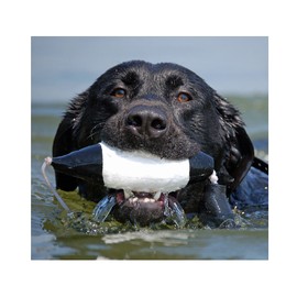 Avery Sporting Dog EZ-Bird, Stockente (Schwarz/Weiß), Apportierdummy, Hundespielzeug, Hundetraining, schwimmfähig, ca. 28x15x9cm