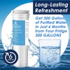 836848 Refrigerator Water Filter for Fisher&Paykel 836860,862285,862284,E402,E442B,E522B,RO185014,RO185011 Fridge Water Filter(2
