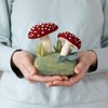 Felted Sky Forest Toadstools Needle Felting Kit Learn How to