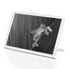 1 x Fridge Magnet - Frog Nature Frogs #39477