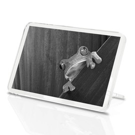 1 x Fridge Magnet - Frog Nature Frogs #39477