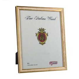 F. G. Galassi 15057 goldtone color with white 5 x 7 frame