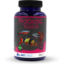NT Labs Pro-F Probiotic Tropical Fish Food For Freshwater Tropical Fish (Contain Viable Probiotic Cultures) Granules For Tropical Aquariums, Supports Immune System, Highly Nutritious Spirulina (120g)