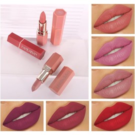 Matte Lip Long-Lasting Lip Color Fade-Resistant Moisturizing High Coloring Additive-Free Lipstick Lip Stick Velvet Gloss Matte Lipstick Lip Care Wear Resistant Lipstick Long-Lasting High Coloring
