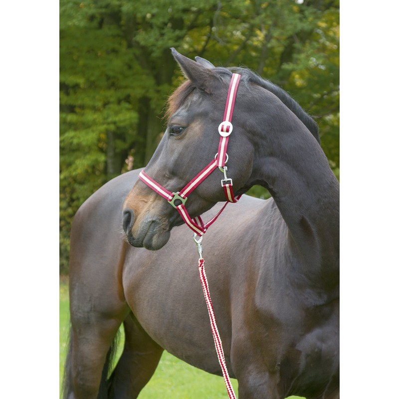 Covalliero Kerbl Ippopotamo Cavezza, Unisex, Hippo, Red