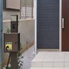 Panda and Dogs [Place Your Luggage in the Delivery Box]