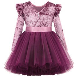 Flofallzique Toddler Velvet Dress Long Sleeve Girls Tulle Princess Dresses Kid Wedding Guest Birthday Party Outfit(4, Plum)