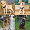 Dog Harness, Anti-Pull Dog Harness, Adjustable No Pull Dog Harness