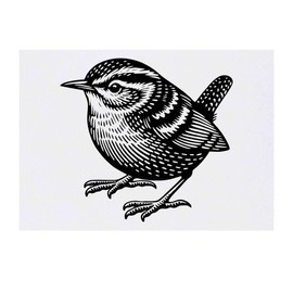 Azeeda 'Zaunkönig' Temporäres Tattoo - Hautfreundlicher & Ungiftiger Abziehbild · Wasserfest (TO00074027)