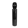 Bluetooth Karaoke Mic Dual 5W Speakers Clear Sound 2000mAh Battery