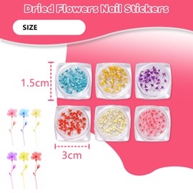EUYKQNOI Profi Nail Art Set mit 6 Getrockneten Blumen Flakons & Rosa 2-in-1 Pinzette - Nageldesign Zubehör für DIY Maniküre, Gelnägel Dekoration, Hochzeitsnails