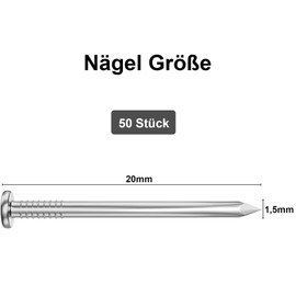 Dayalo Pack of 50 Nails, Steel Nails 20 mm, Roofing Felt Nails, Stainless Steel A2 V2A, Nails for Wood and Concrete Walls