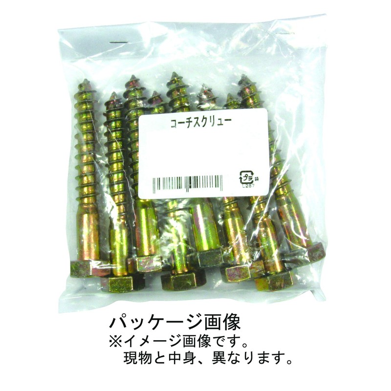 DAIDOHANT 10102785 Chromate Coach Screw [19 Heads] (Nominal Diameter) 0.5