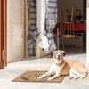 Mingnei Christian We are Covered Coco Coir Doormat Door Mat