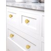 Talentedeco 10 Pack Brushed Gold Knurled Kitchen Cabinet Knobs Cabinet