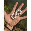 RAYON White Shell Tridacna bead bracelet Men Stretch 12mm 7,