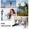 Liphisy 64” Tripod for Cell Phone & Camera, Phone Tripod