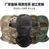 Imported One-Piece Fleece-Lined Motorcycle Ski Winter Balaclava lf3707 - One Size Size Python Black 10ea