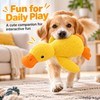 Squeaky Duck Plush Dog Toy for Interactive Play – Soft