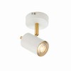 Matt White & Satin Brushed Gold GU10 LED Spotlight
