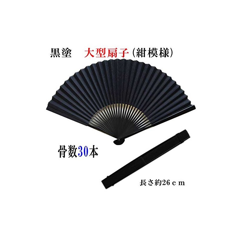 Hand Fan Fabric Location Large Fan Parents Black Coating Black