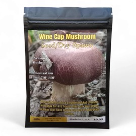 Wine Cap Mushroom Seed/Dry Spawn