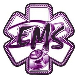 Purple EMS Stethoscope Star of Life Decal - 12" h - REFLECTIVE