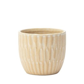 Napco Imports Indoor Outdoor Plant Succulent Herb Flower Pot 3.75 Inch Ceramic Cream Wavy Ribbed