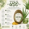 Jabón Orgánico Artesanal De Sábila con Aceite Ozonizado y Vitamina