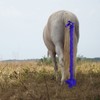 Horse Tail Bag Wrap Polyester Keep Tail Skin Clean Easy