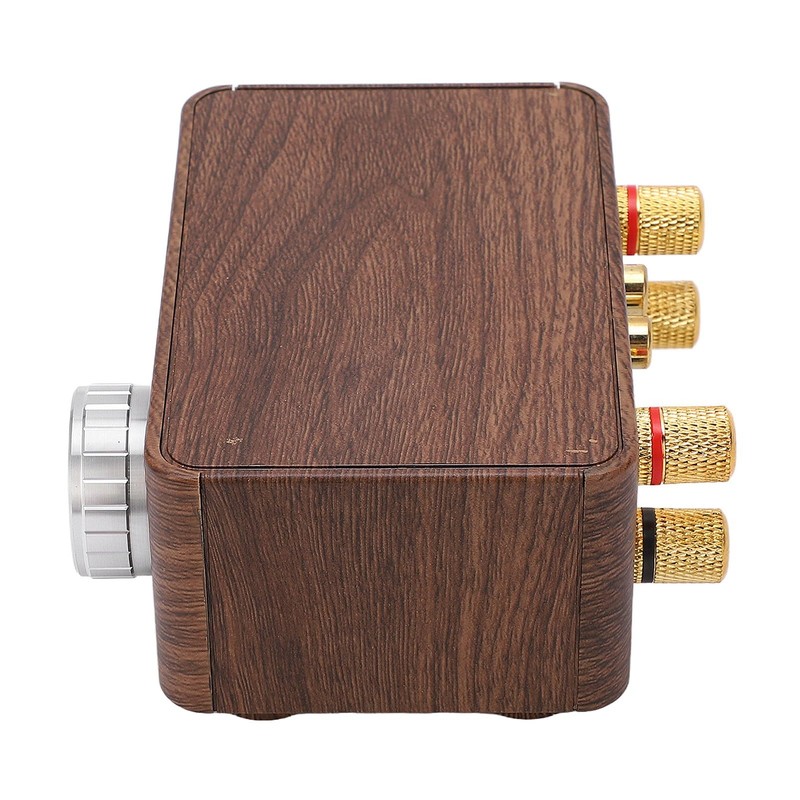Mini 5.0 Power Amplifier Stereo HiFi Digital Amp 2 Channel