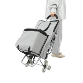 Art Cart with Drawing Storage Bag, Rolling Art Cart with Three-Wheel Design, Folding Wheeled Portable Rolling Chair/Art Cart, Rolling Storage Cart for Mall Shopping, Outdoor Painting (Silver)