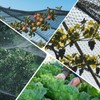 GWHOLE Bird Protection Net, Narrow Mesh Bird Net, Leaf Protection