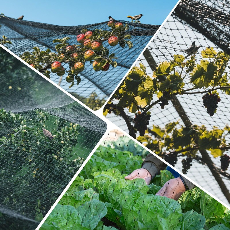 GWHOLE Bird Protection Net, Narrow Mesh Bird Net, Leaf Protection