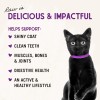 Stella & Chewy's Freeze-Dried Raw Cat Dinner Morsels - Salmon