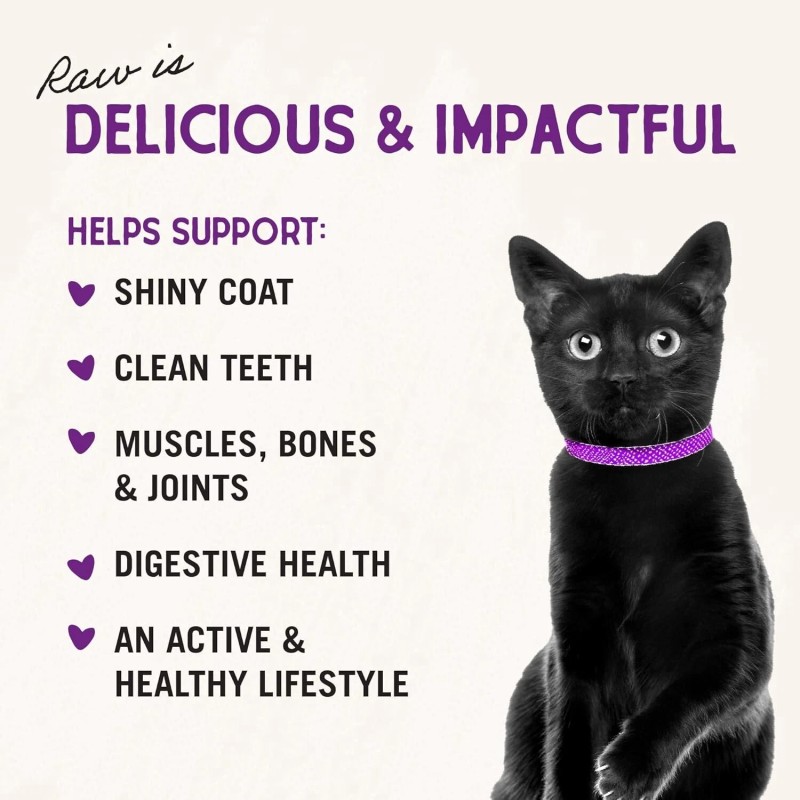 Stella & Chewy's Freeze-Dried Raw Cat Dinner Morsels - Salmon